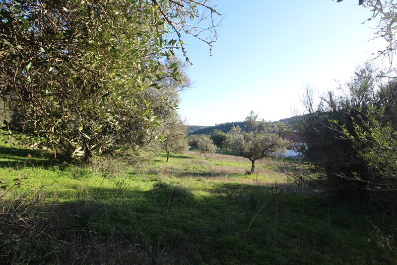 5 695 m²  Land plot in Silves