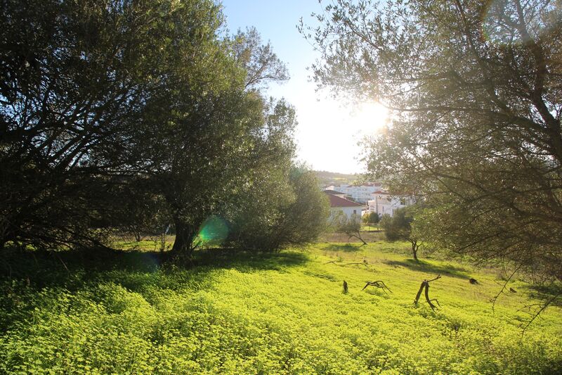 5 695 m²  Land plot in Silves