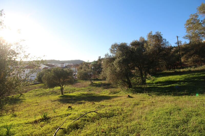 5 695 m²  Land plot in Silves