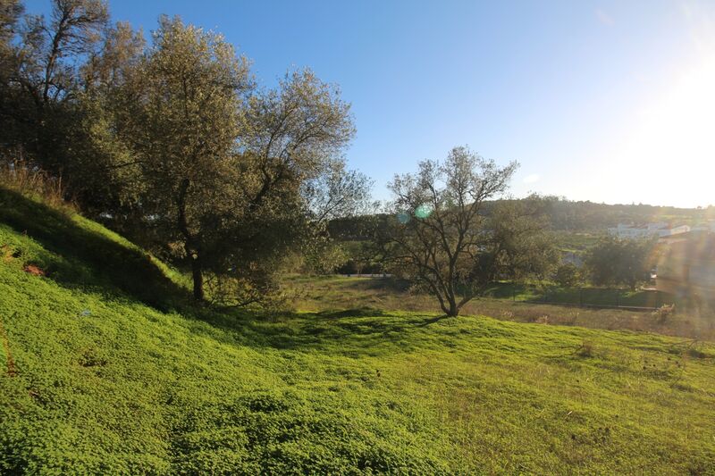 5 695 m²  Land plot in Silves