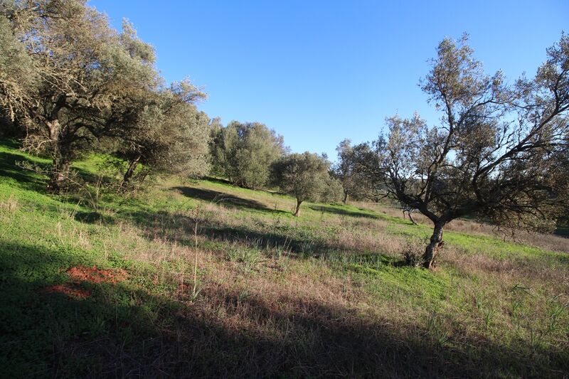 5 695 m²  Land plot in Silves