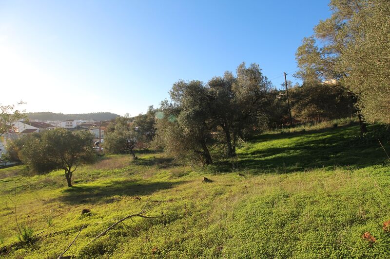 5 695 m²  Land plot in Silves