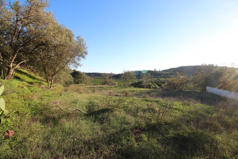 5 695 m²  Land plot in Silves