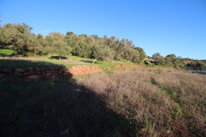 5 695 m²  Land plot in Silves