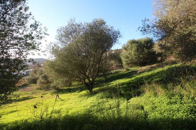 5 695 m²  Land plot in Silves