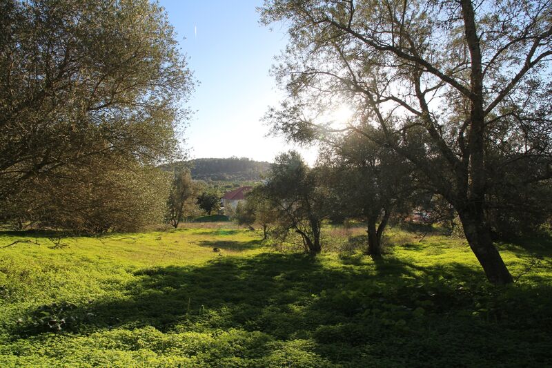 5 695 m²  Land plot in Silves