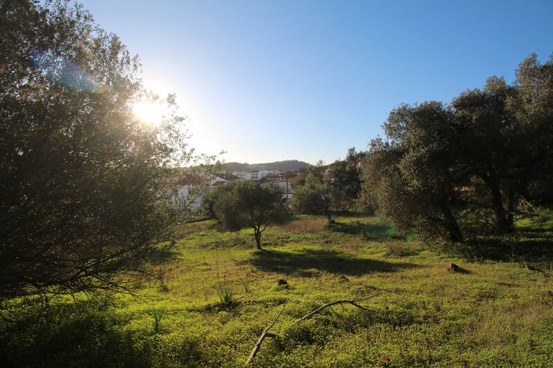 5 695 m²  Land plot in Silves