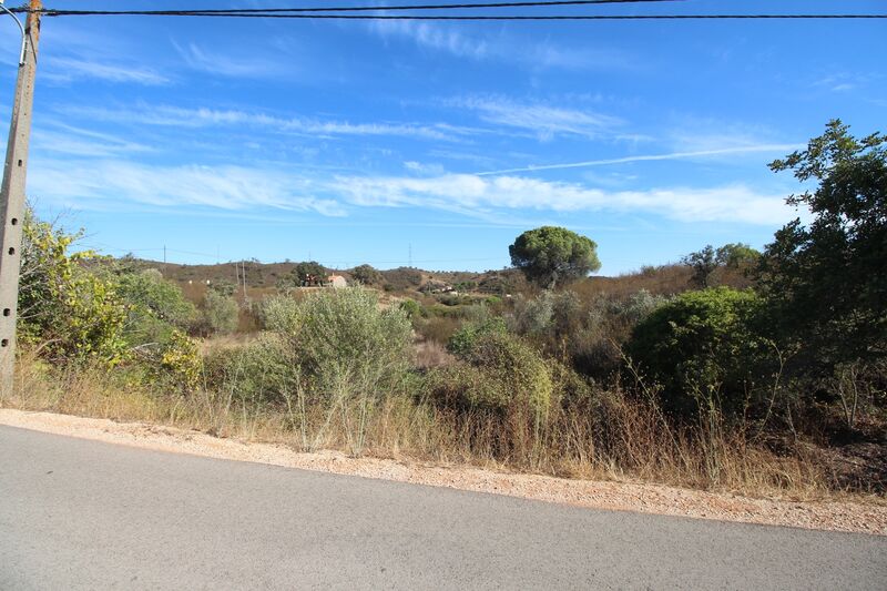 4 bedroom House in Silves