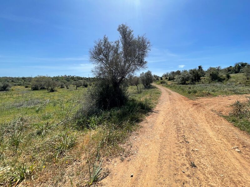 1 996 m²  Land plot with swimming pool in Silves