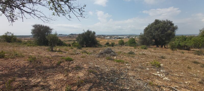 43 440 m²  Land plot with swimming pool in Silves