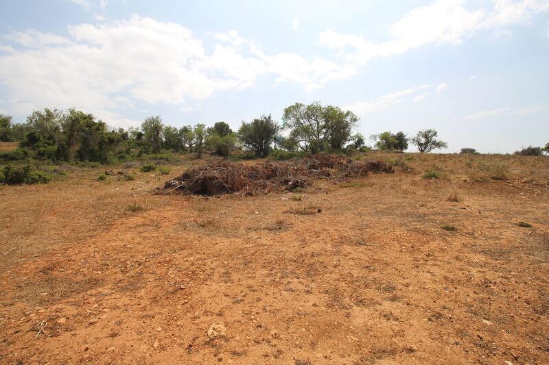 43 440 m²  Land plot with swimming pool in Silves