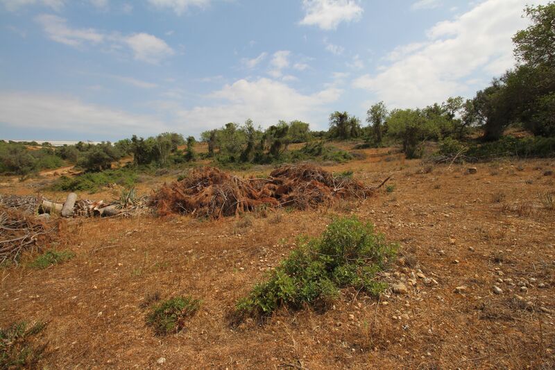 43 440 m²  Land plot with swimming pool in Silves
