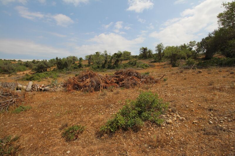 1 996 m²  Land plot with swimming pool in Silves