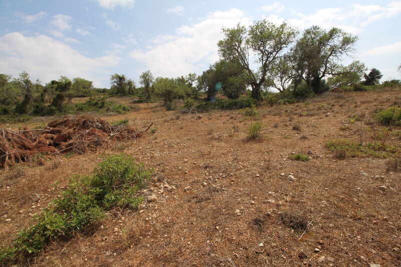 43 440 m²  Land plot with swimming pool in Silves