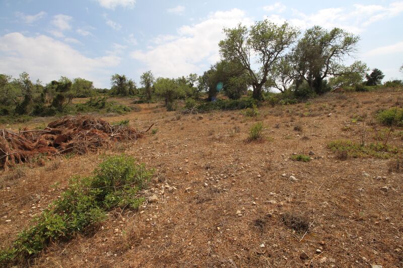 1 996 m²  Land plot with swimming pool in Silves