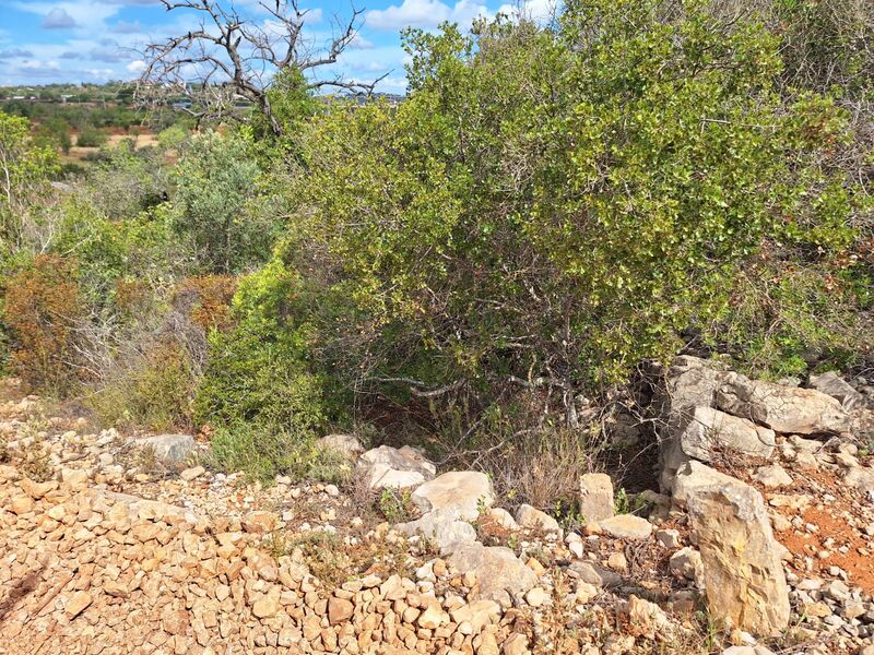 5 760 m²  Land plot in Albufeira