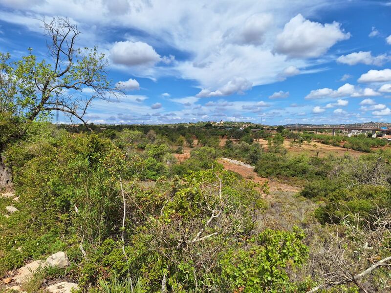 5 760 m²  Land plot in Albufeira