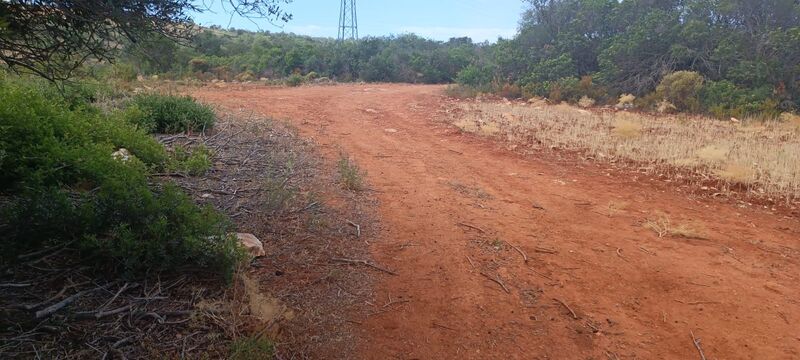4 520 m²  Land plot in Albufeira