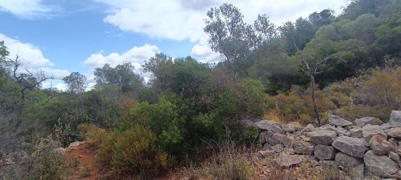 4 520 m²  Land plot in Albufeira