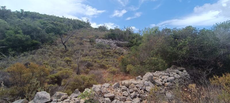 4 520 m²  Land plot in Albufeira