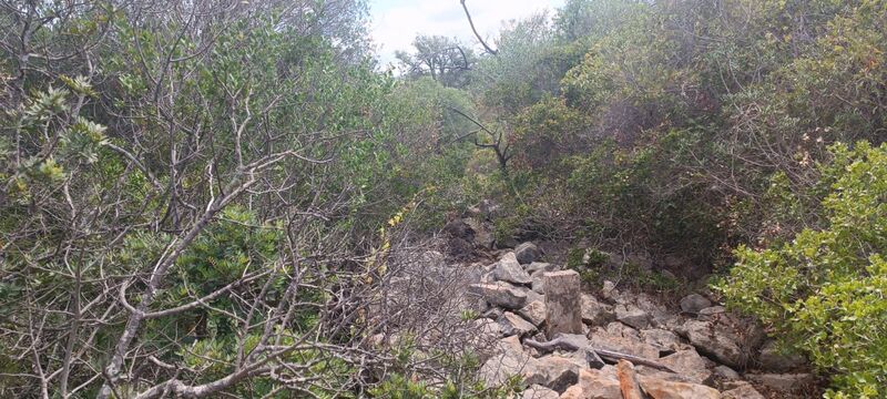 4 520 m²  Land plot in Albufeira