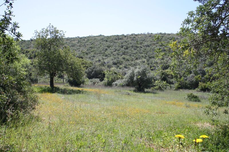 4 000 m²  Land plot in Faro