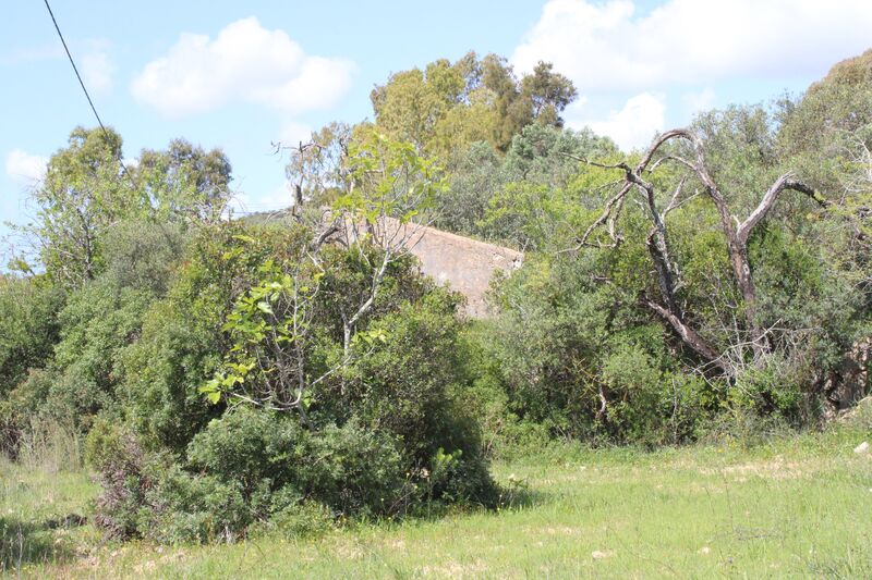 4 000 m²  Land plot in Faro