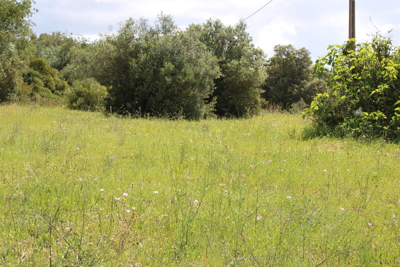 4 000 m²  Land plot in Faro