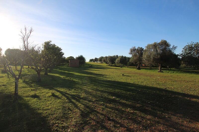 Terreno Rústico plano Vale de Silveira Boliqueime Loulé - furo, água