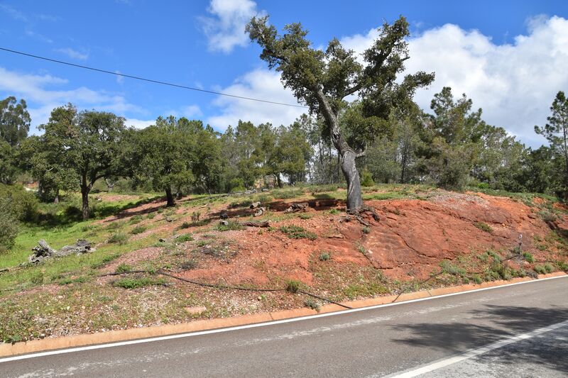 Lote de Terreno com 4 940 m²  em Loulé