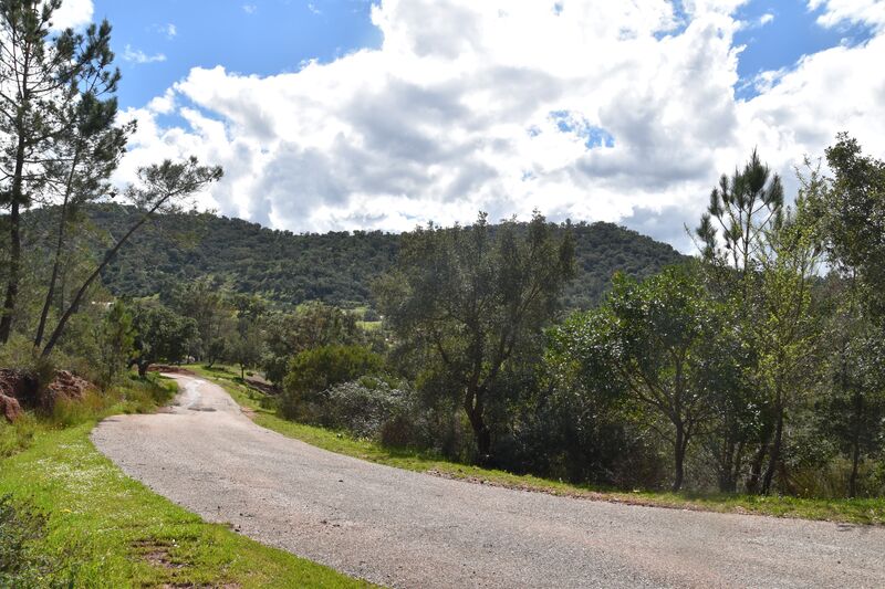 Lote de Terreno com 4 940 m²  em Loulé