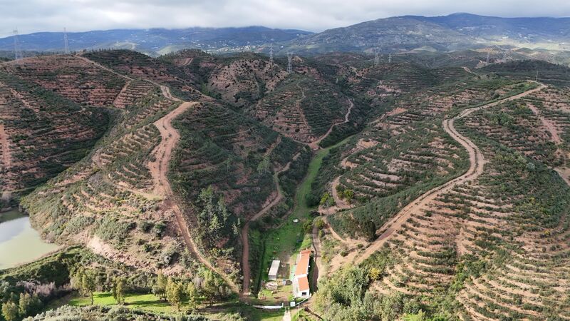 2 bedroom34 750 m&sup2;  Land plot in Monchique