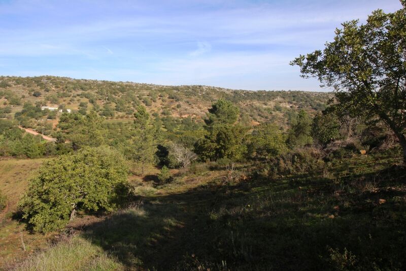 3 bedroom25 860 m²  Land plot in Loulé