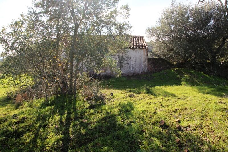 3 bedroom25 860 m²  Land plot in Loulé