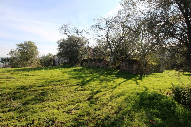 3 bedroom25 860 m²  Land plot in Loulé