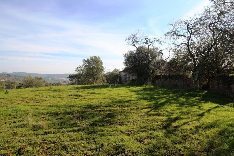 3 bedroom25 860 m²  Land plot in Loulé