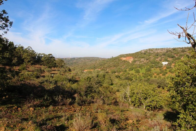 3 bedroom25 860 m²  Land plot in Loulé