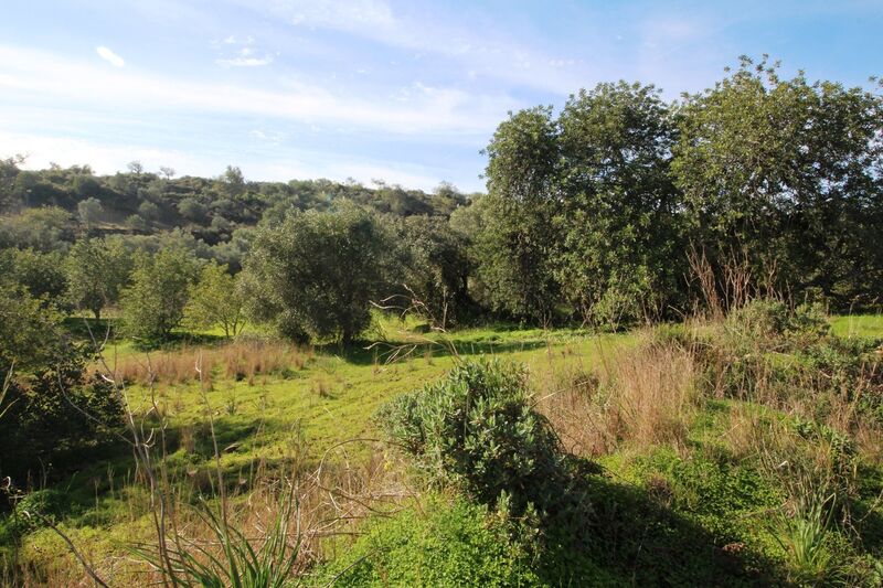 3 bedroom25 860 m²  Land plot in Loulé