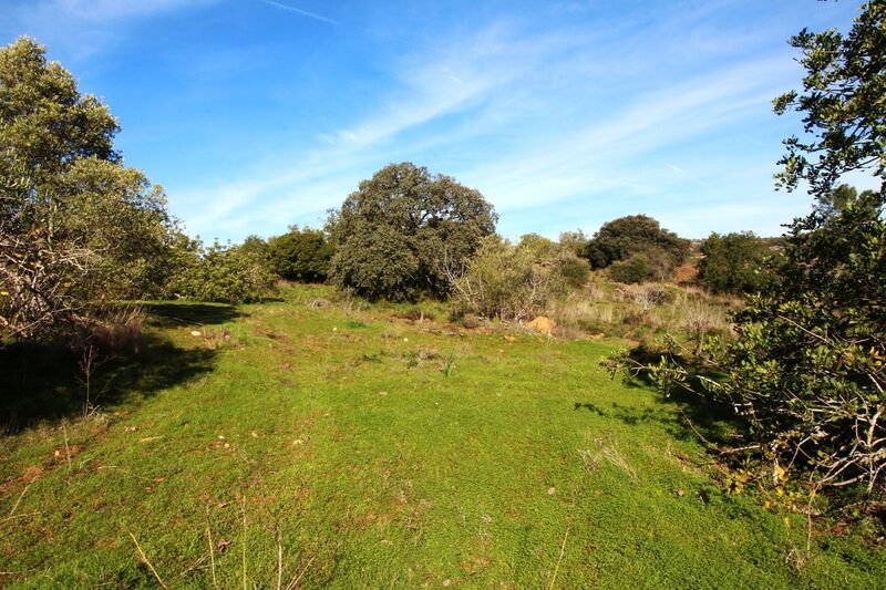 3 bedroom25 860 m²  Land plot in Loulé