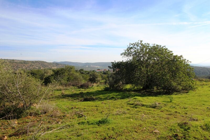 3 bedroom25 860 m²  Land plot in Loulé
