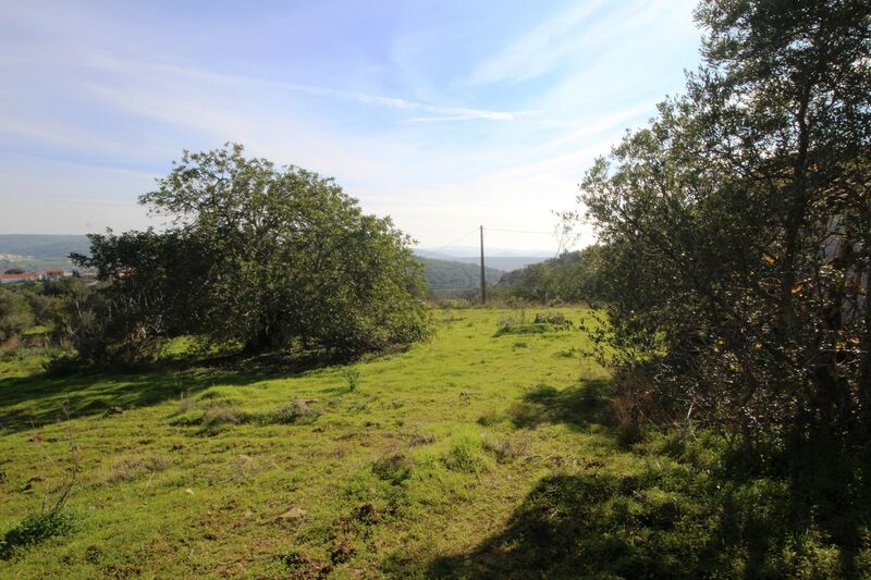 3 bedroom25 860 m²  Land plot in Loulé