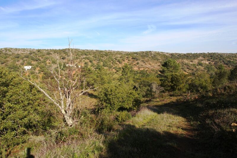 3 bedroom25 860 m²  Land plot in Loulé