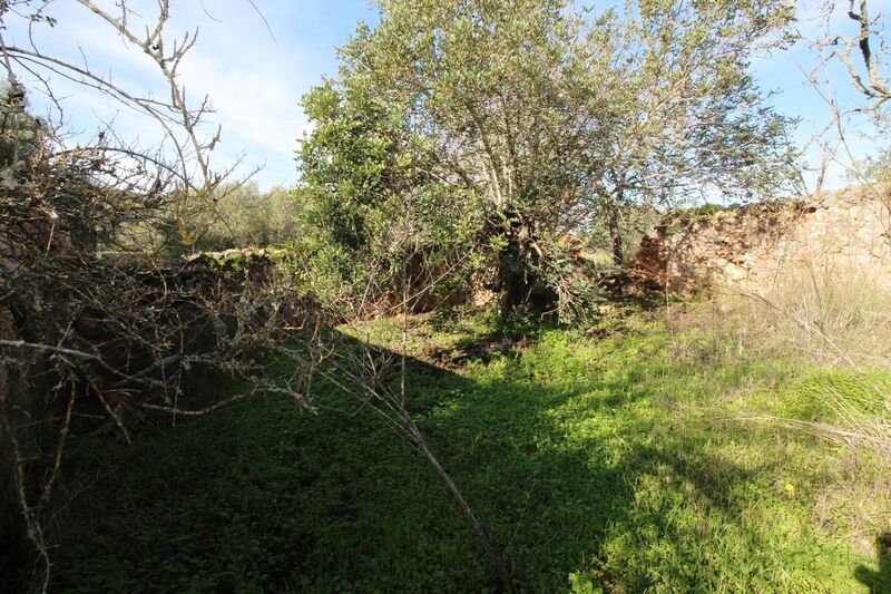 3 bedroom25 860 m²  Land plot in Loulé