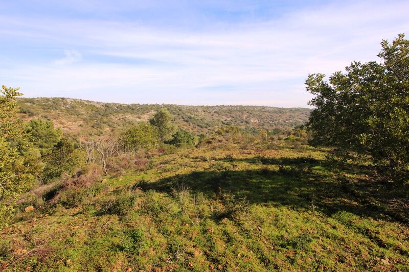 3 bedroom25 860 m²  Land plot in Loulé