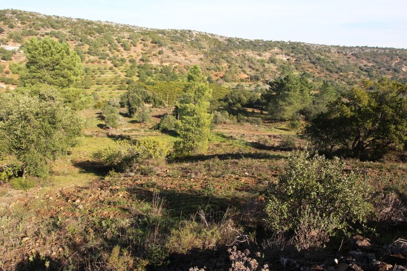 3 bedroom25 860 m²  Land plot in Loulé