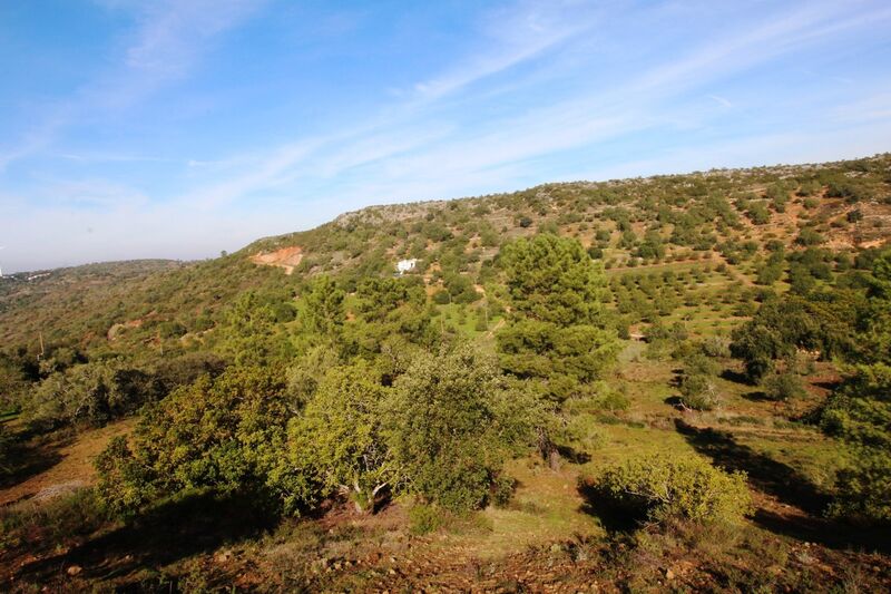 3 bedroom25 860 m²  Land plot in Loulé