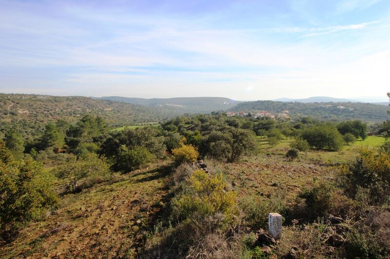 3 bedroom25 860 m²  Land plot in Loulé