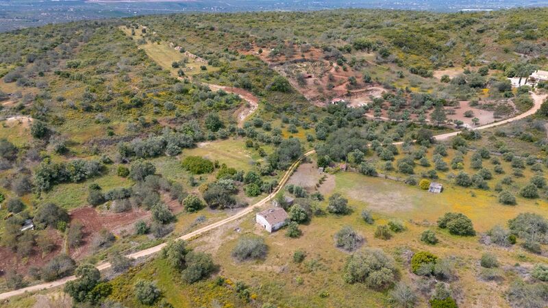 3 bedroom25 860 m²  Land plot in Loulé