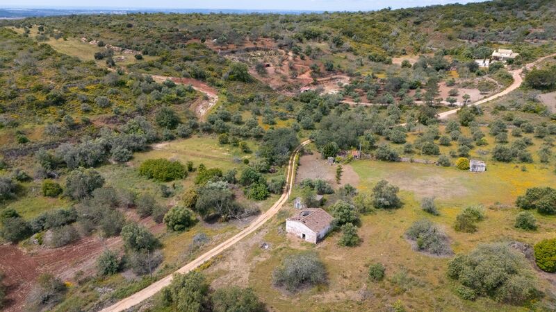 3 bedroom25 860 m²  Land plot in Loulé