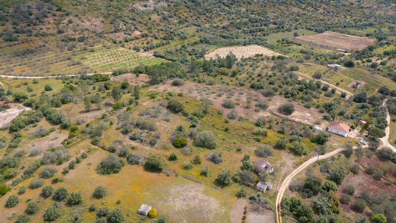 3 bedroom25 860 m²  Land plot in Loulé